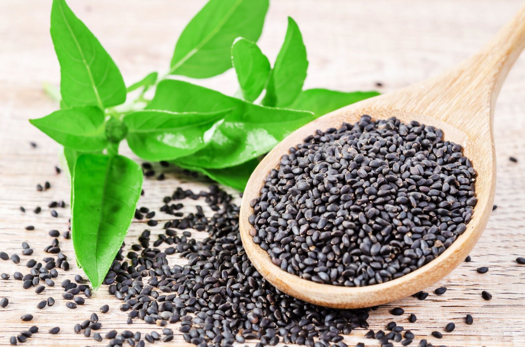 Basil Seeds 250 Grams